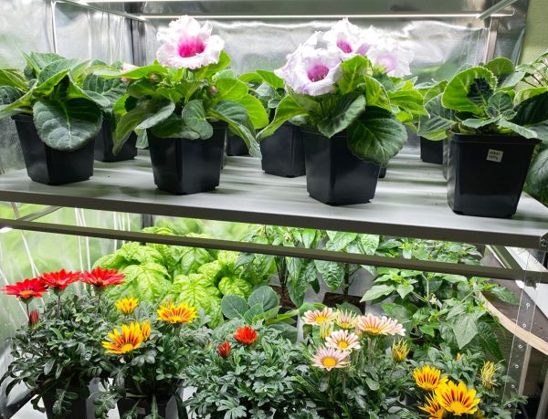 Комплект для вирощування рослин: Cвітильник із блоком живлення 980 мм